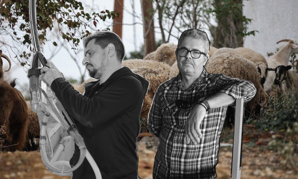«Η σφαγή των αμνών» μετά την ευλογιά: Αυτοψία του Newsbomb στη Θεσσαλία - Τι λένε οι κτηνοτρόφοι