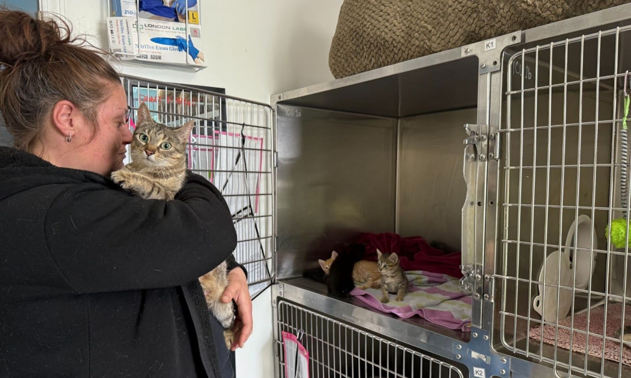 3a0cf959-gatakia.jpg?t=rEjzFCFh63qQtlWkeIbGsA