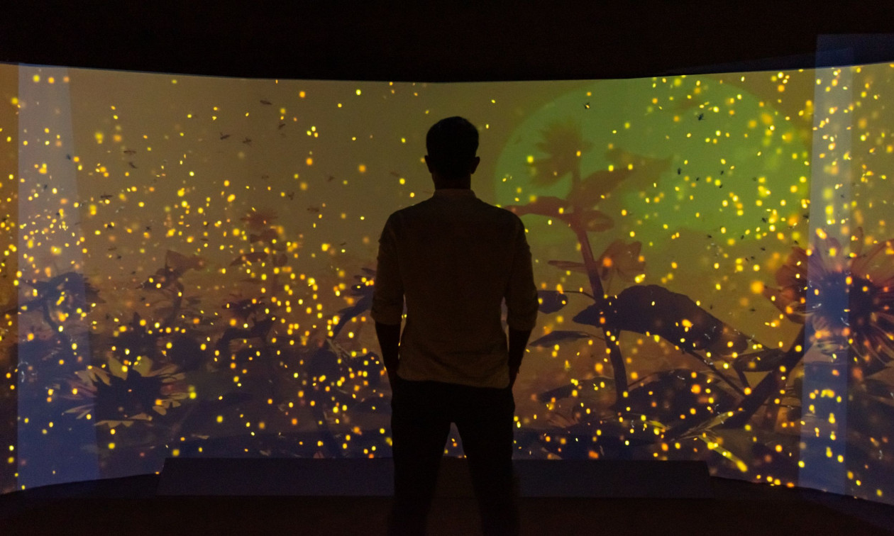 «Βιοποικιλότητα»: Η νέα έκθεση - αφύπνιση από το Εθνικό Μουσείο Φυσικής Ιστορίας Γουλανδρή