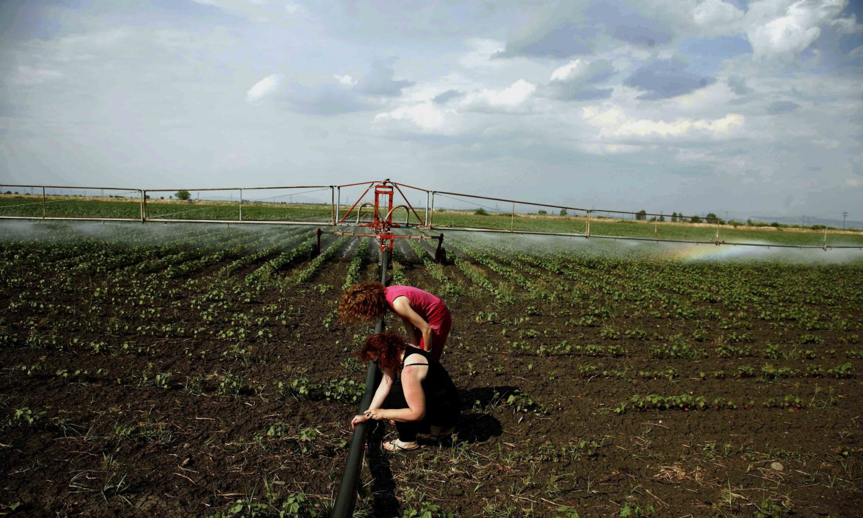 Μέχρι τέλος Νοεμβρίου η προκαταβολή της Βασικής Ενίσχυσης και το Μέτρο 23