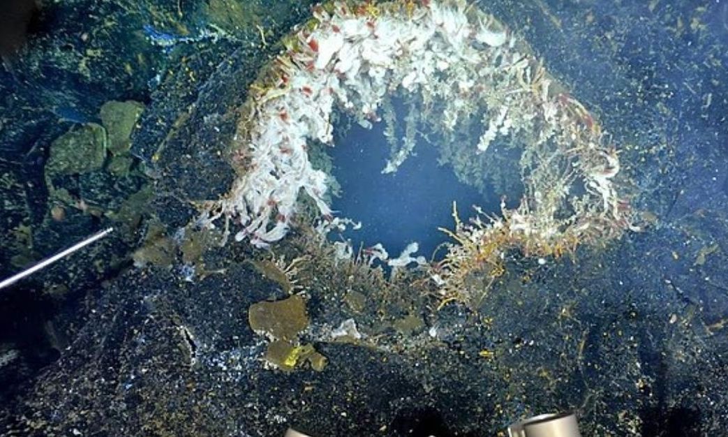 Υποθαλάσσιο ηφαίστειο στις ΗΠΑ ετοιμάζεται να εκραγεί - Και οι συνέπειες είναι ανυπολόγιστες