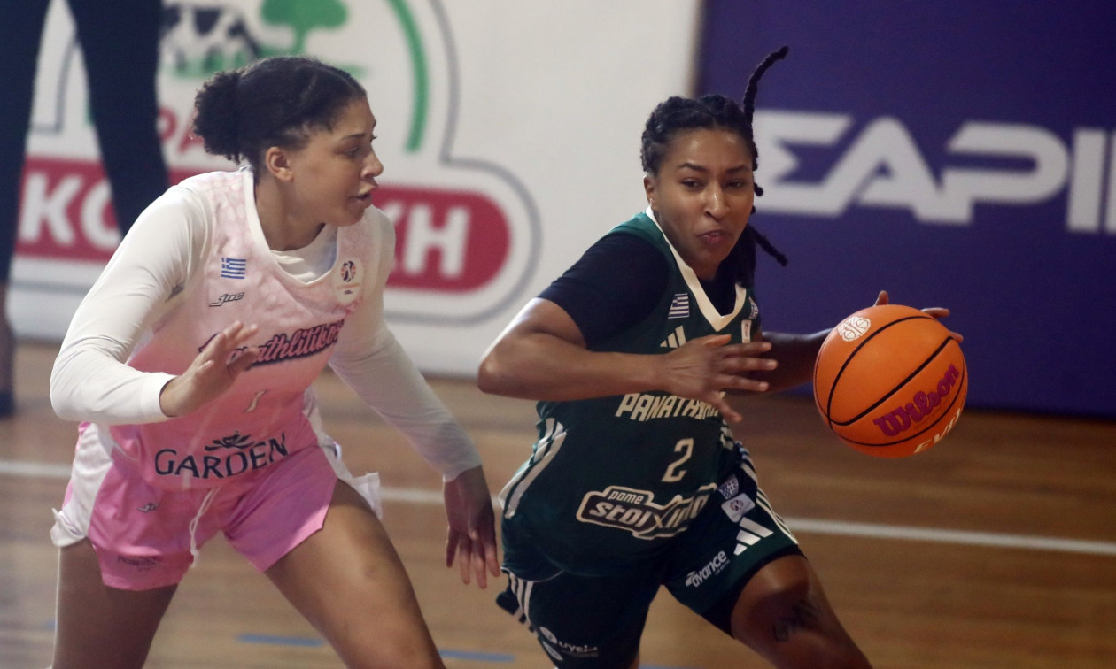 039c8828-4905784.jpg?t=vUuGfnD-2UYQJrIYlzwBMQ