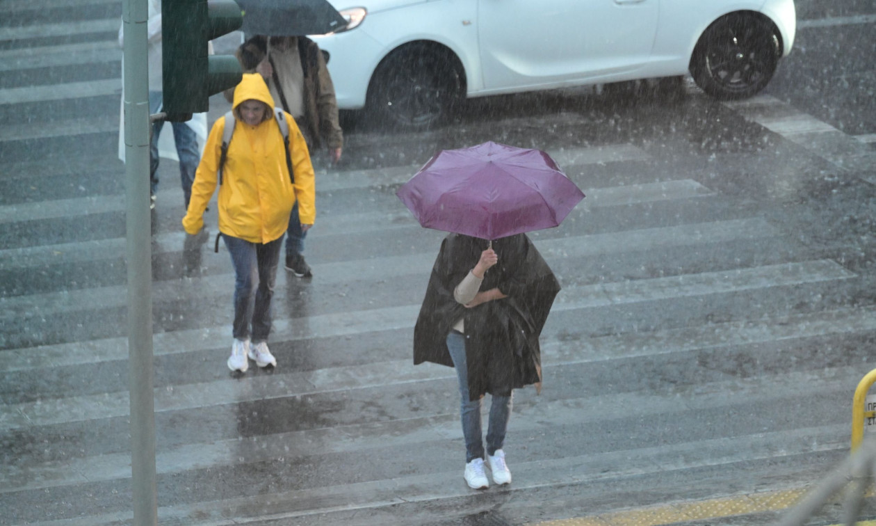 7cef6262-6729497.jpg?t=Hx0Nc6fXYn4zKvYZzdUKrA