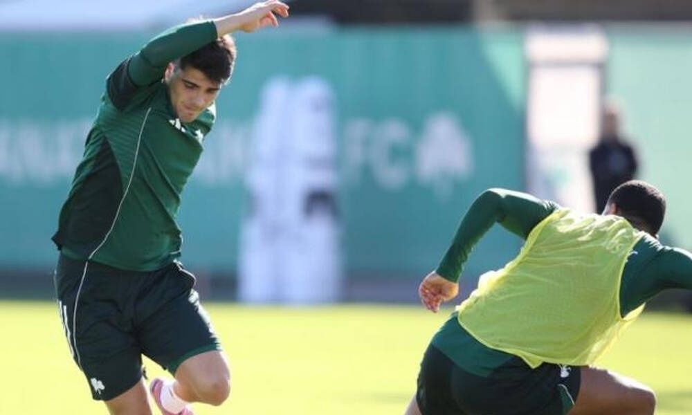 ed32839a-pao-proponisi12.jpg?t=C-UyRQstlqnmRziIau4z3A