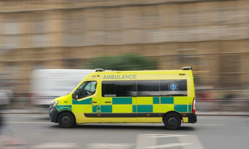 c94f713e-ap24256510265481.jpg?t=C95i-urFbOaWmvSw5-UTSA