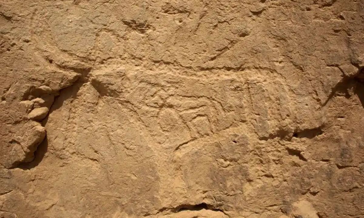 a3a03585-1767618616887-742697542-clipboard01-05-202601.jpg?t=G1Ik9FByrDWnw2BU30MQVg