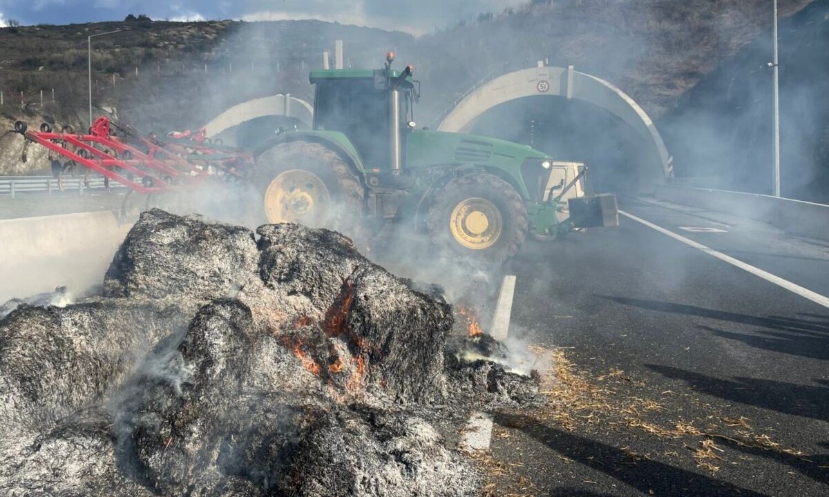 c5838935-agrotes-tempi.jpg?t=2g60-SvimeHN6lwU79EuMA