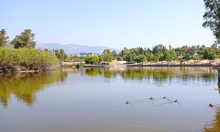 Πάρκο Τρίτση: Από την εγκατάλειψη και τη γραφειοκρατία στην ελπίδα αναγέννησης