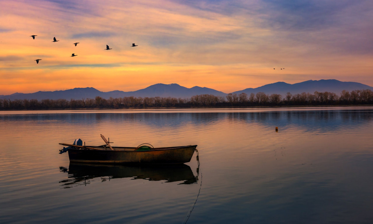 Δέντρο 1074 ετών στέκει αγέρωχο στο Εθνικό Πάρκο Κερκίνης από τη Βυζαντινή Αυτοκρατορία