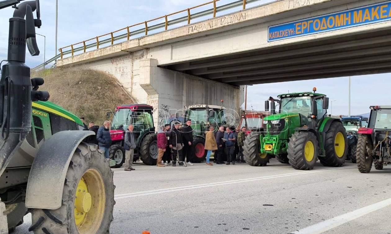 ef671758-agrotes-florina-1.jpg?t=3gijcorYZG1eLXYLuyRgOw