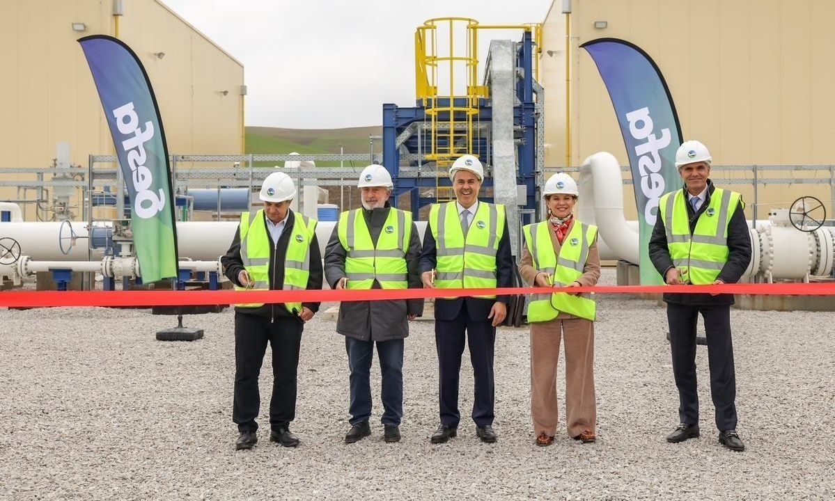 dc9d7e43-c43348b7-ampelia.jpg?t=zVxNg_wyNQfFt_GUTFg8Kw