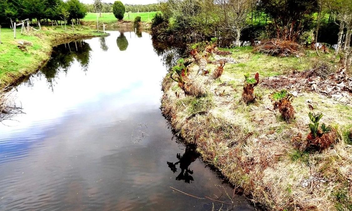 Ανατροπή στην ιστορία της Αμερικής: Μελέτη δείχνει πότε πραγματικά κατοίκησαν εκεί οι άνθρωποι