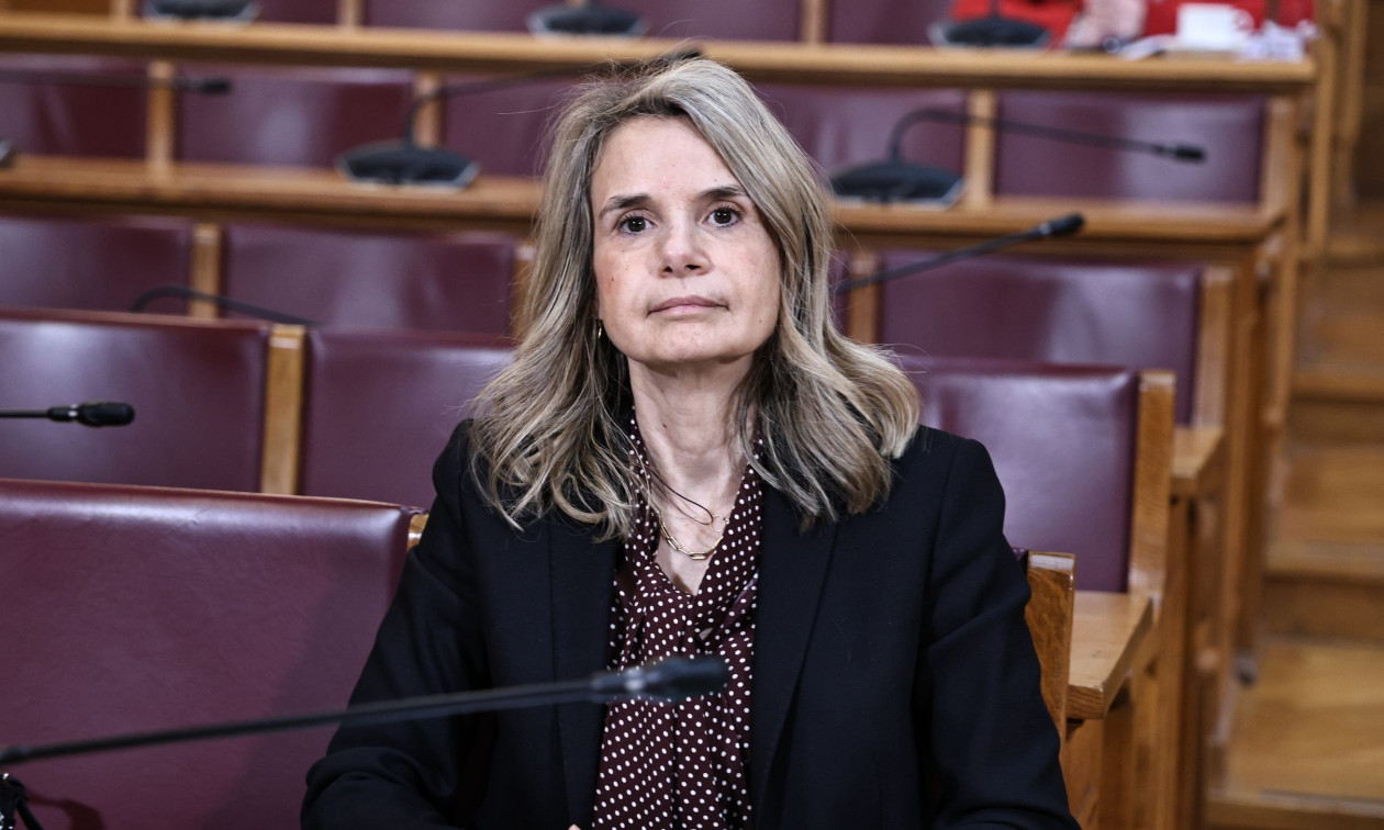 Μιλένα Αποστολάκη: Ο ΟΠΕΚΕΠΕ αποτελεί οργανωμένο σύστημα που εξυπηρέτησε διπλό σκοπό