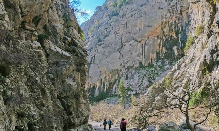 Συναγερμός στην Εύβοια: Αγνοούνται 8 άτομα στο φαράγγι της Αγάλης