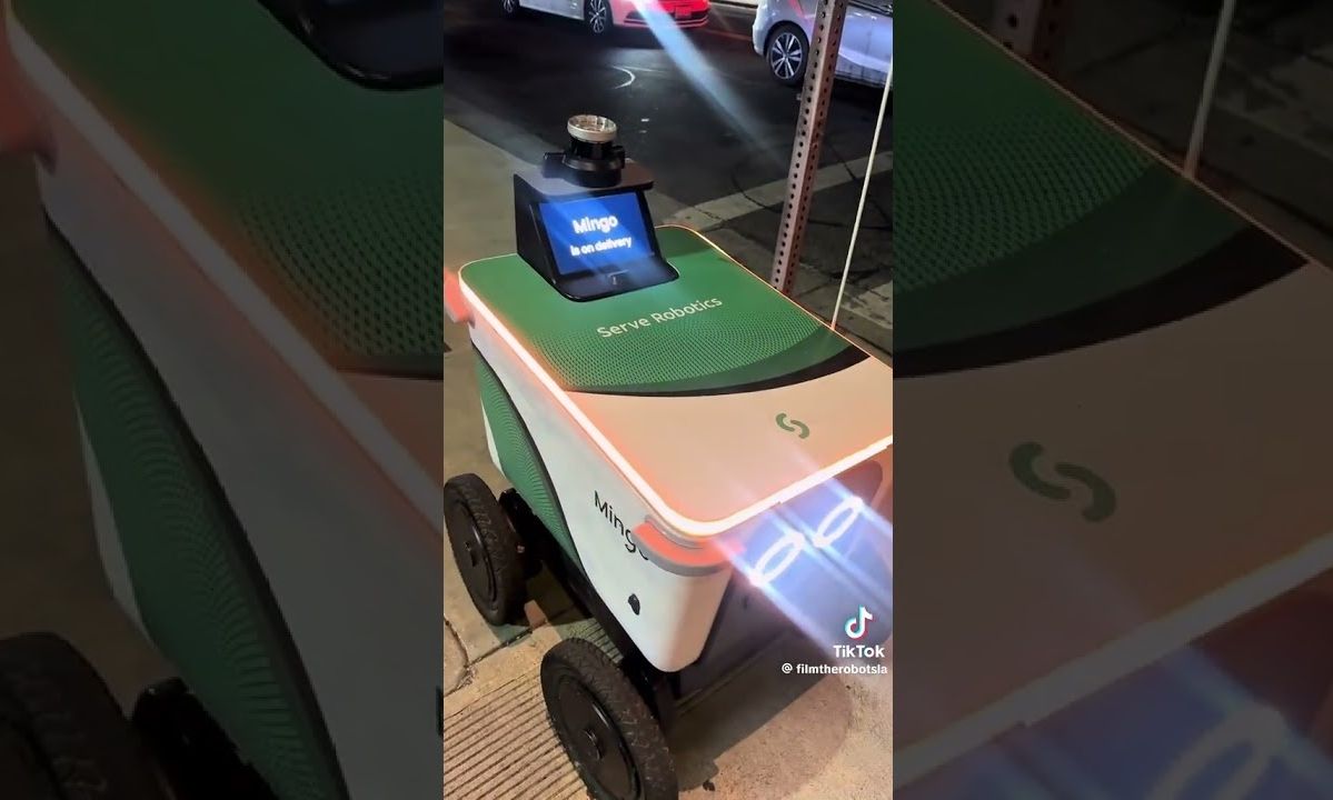 Περαστικός εξυβρίζει… ρομπότ που ζήτησε βοήθεια σε διάβαση – Δείτε βίντεο