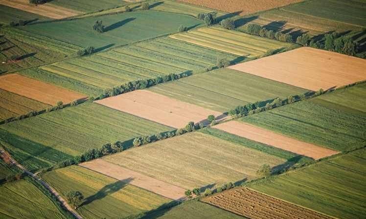 ΑΑΔΕ: Πληρωμή 202 εκατ. ευρώ για 294.000 αγροτεμάχια  κατόπιν ελέγχων
