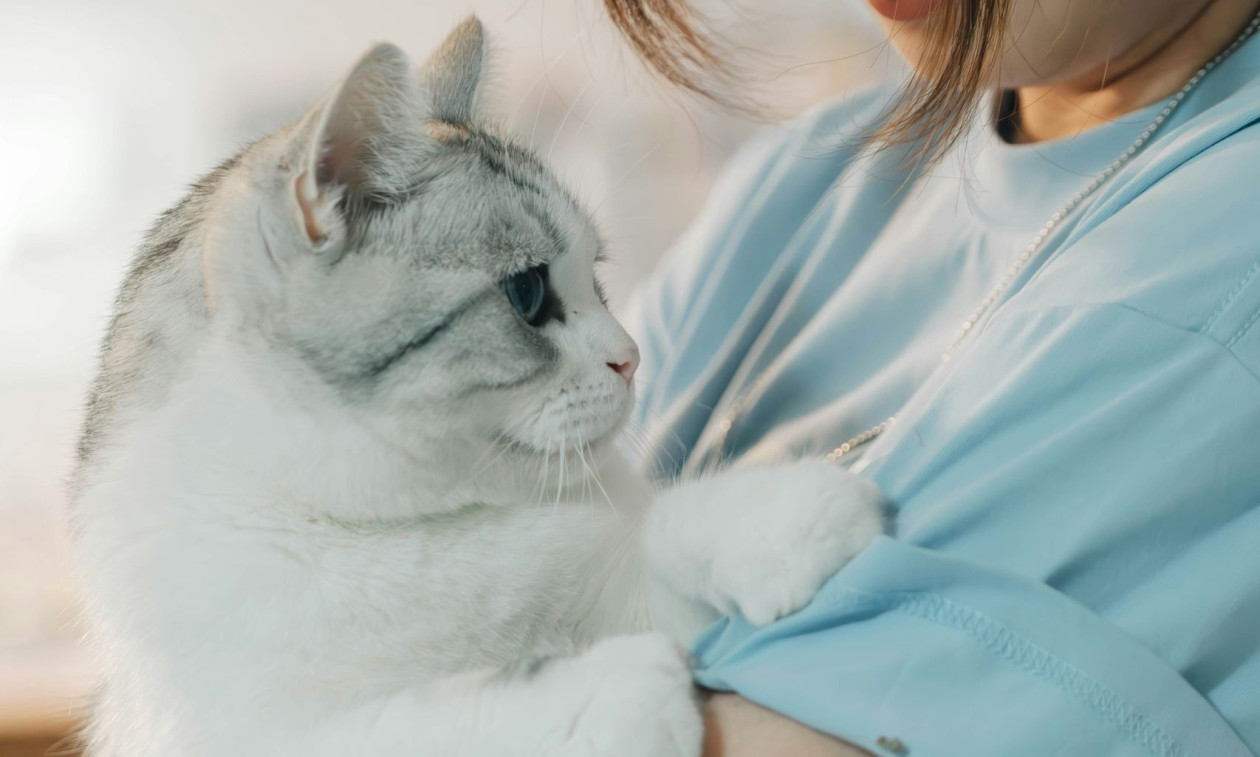 Ιταλία: Γίνεται η πρώτη χώρα που δίνει άδεια με αποδοχές για τη φροντίδα άρρωστων κατοικιδίων