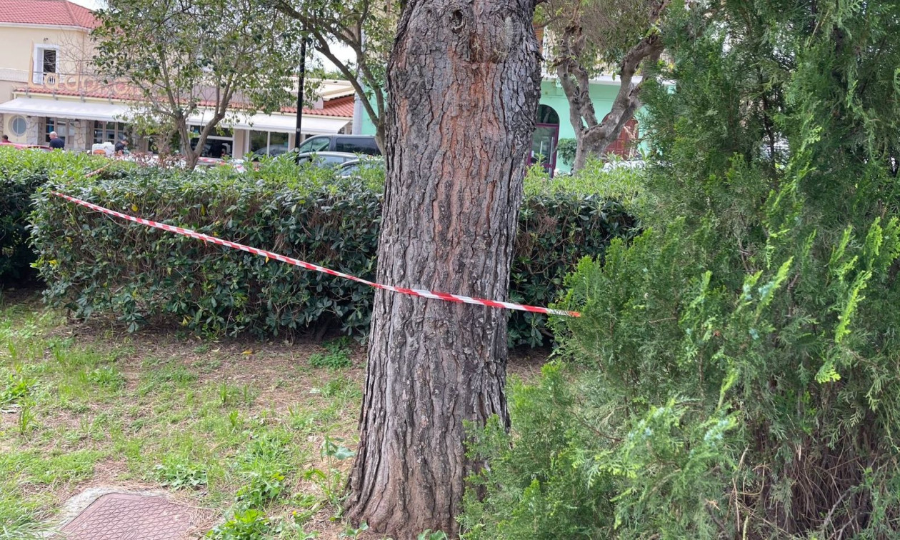 Θρίλερ στην Κεφαλονιά: Στο ΑΤ καταθέτουν δύο άτομα για τον θάνατο της 19χρονης