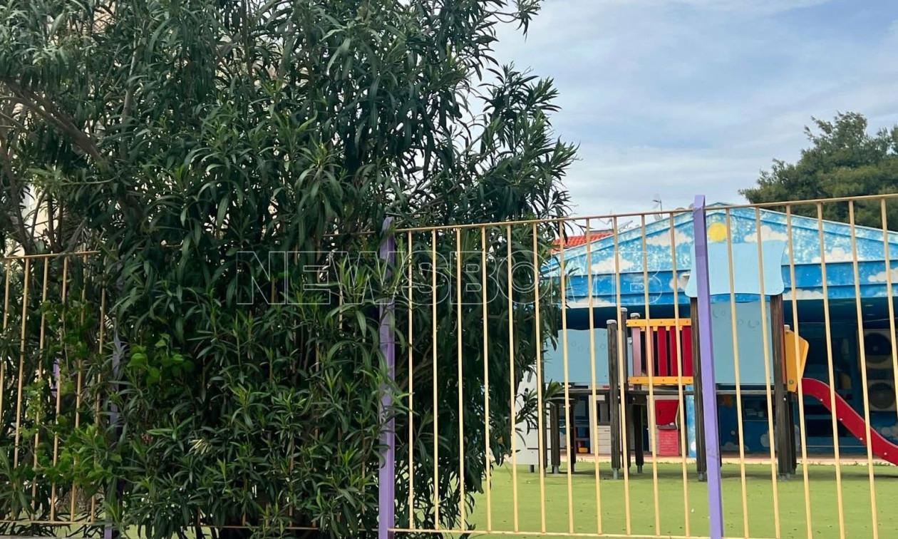 Πικροδάφνη και άλλα τοξικά φυτά: Πόσο επικίνδυνα είναι τελικά σε σχολεία και δημόσιους χώρους