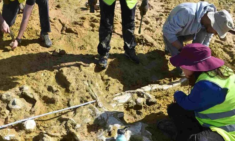 Δύο φάλαινες ηλικίας 10 εκατ. ετών ξέθαψαν οι χειμερινές καταιγίδες στην Πορτογαλία