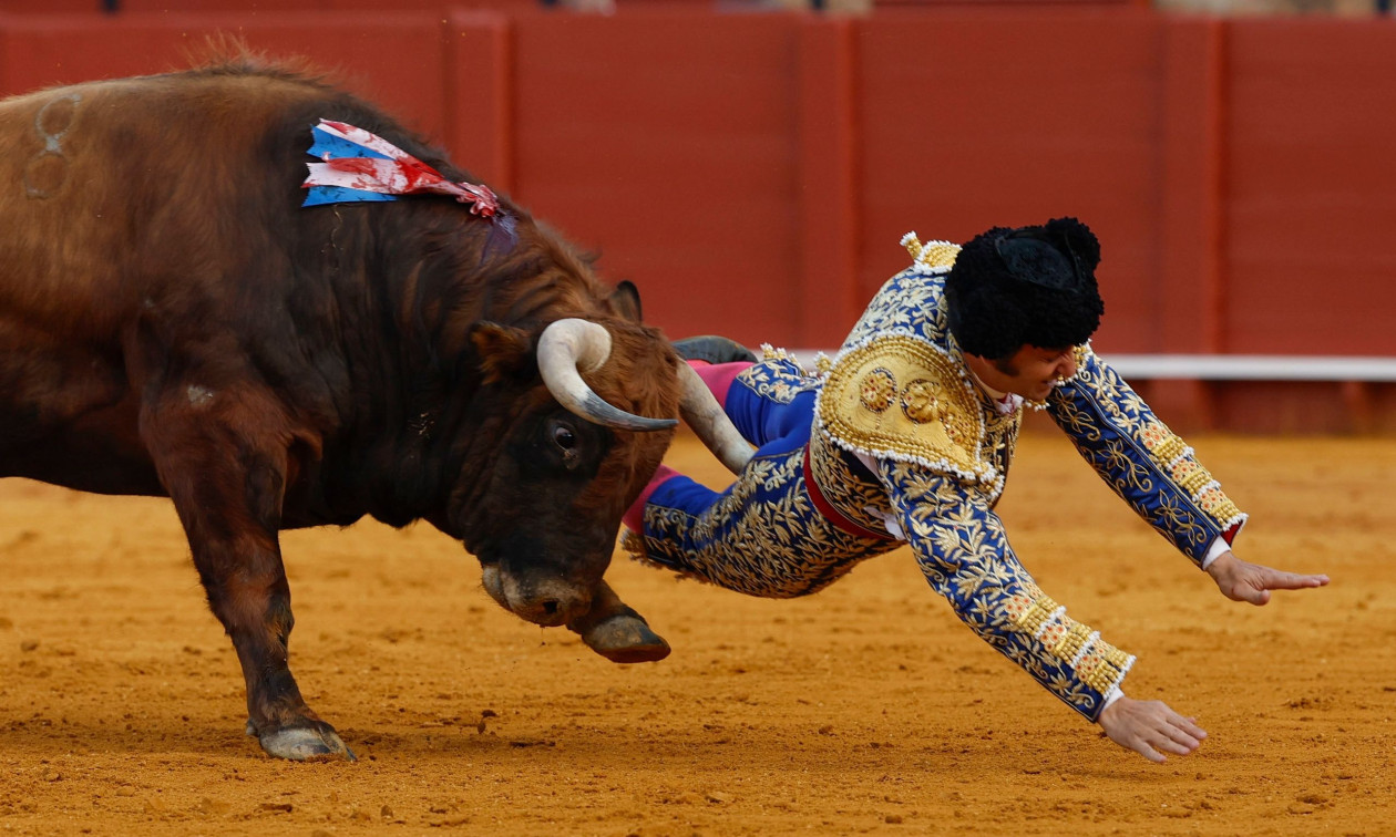 Ισπανία: Τραυματίστηκε σοβαρά ταυρομάχος στη Σεβίλλη - Δείτε βίντεο