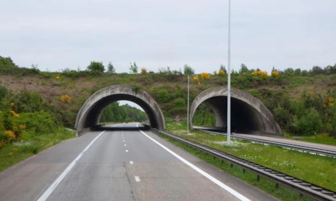 Το μεγαλύτερο κατασκευαστικό λάθος: Ο αυτοκινητόδρομος που δεν έχει χρησιμοποιηθεί εδώ και 12 χρόνια