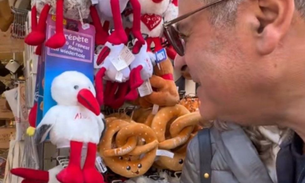 «Μωρε συ Κρητικά μιλείς;»: Ο πελαργός που τρέλανε το Tik Tok