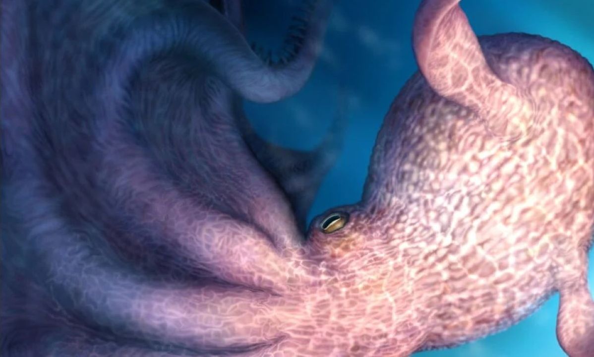 Υπήρξε το Κράκεν: Τι αποκαλύπτουν επιστήμονες για χταπόδι 19 μέτρων που έζησε 100 εκατ. χρόνια πριν