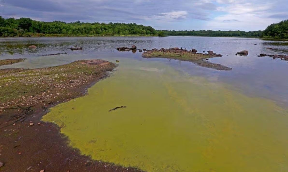 Βακτήρια που «τρώνε» τη σάρκα εντοπίστηκαν σε ύδατα – Τα θύματα μπορεί να πεθάνουν μέσα σε 48 ώρες