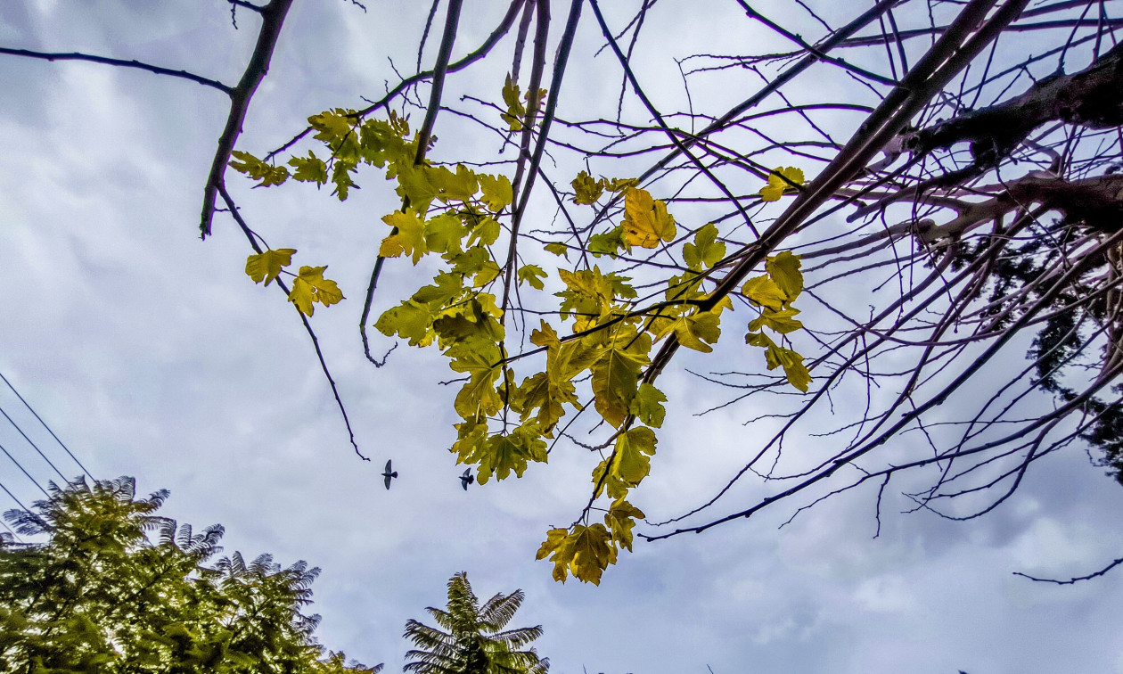 Καιρός: Βροχές σε Κρήτη, Κυκλάδες, γενικά αίθριος στην υπόλοιπη χώρα