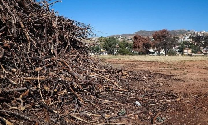 Ακαθάριστα οικόπεδα: Νέοι κανόνες και πρόστιμα – Τι αλλάζει με τον νόμο για την πυροπροστασία