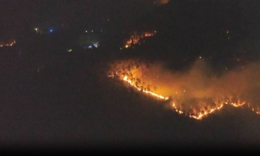 Στις φλόγες μεγάλη δασική έκταση στην Τοσκάνη - Βίντεο