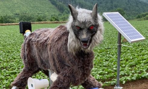 «Monster Wolves»: Ο στρατός των ρομπότ - λύκων της Ιαπωνίας για να τρομάξει τις αρκούδες