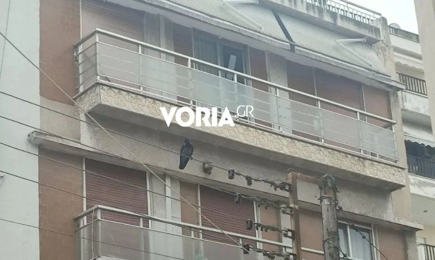Θεσσαλονίκη: Κοράκι επιτίθεται σε περαστικούς - Τρεις ελαφρά τραυματίες, δείτε βίντεο