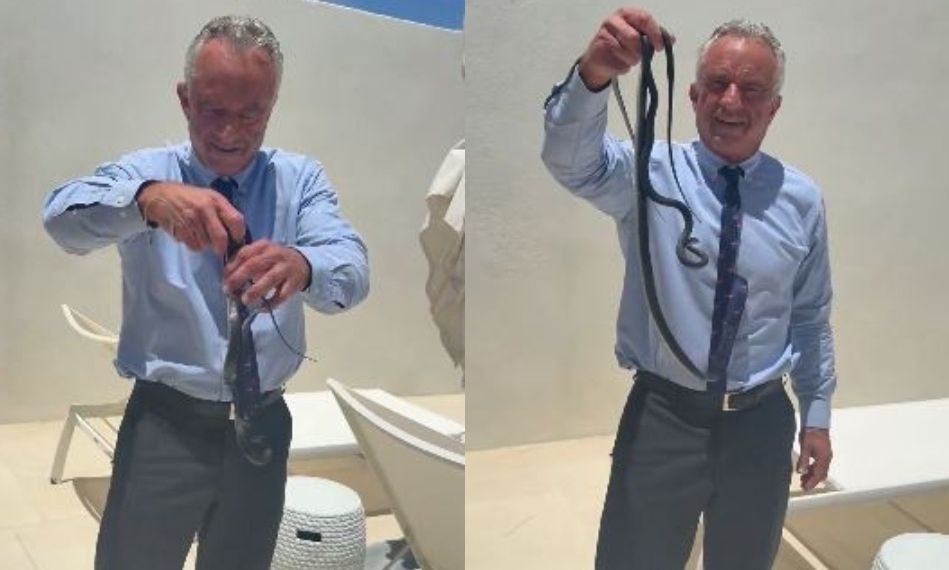 Viral βίντεο με τον Robert F. Kennedy Jr να απομακρύνει με γυμνά χέρια δύο επικίνδυνα φίδια