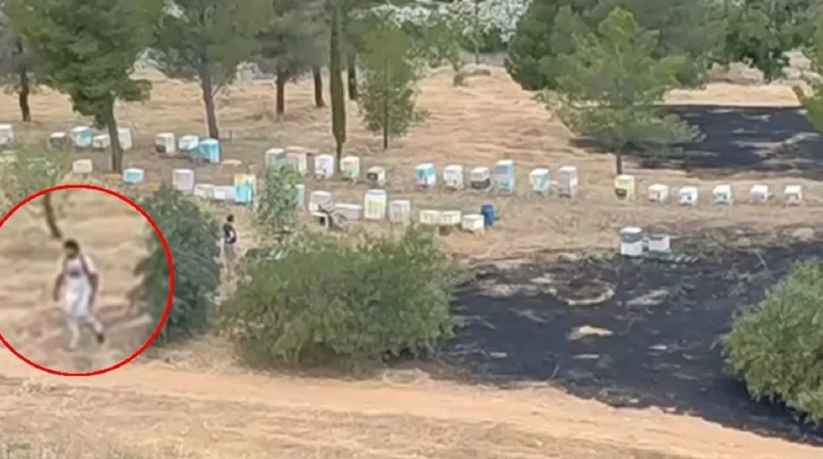 Φωτιά στο Άλσος Βεΐκου: Βίντεο με τον μελισσοκόμο να φεύγει από το σημείο - Παραμένει ασύλληπτος