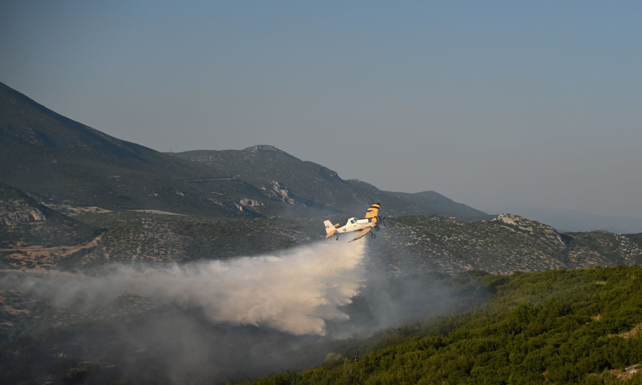 Φωτιά στη Φθιώτιδα: Εκκενώθηκαν τα χωριά Σφάκα, Ζέλι και Κατάλυμα - Μπαράζ μηνυμάτων 112