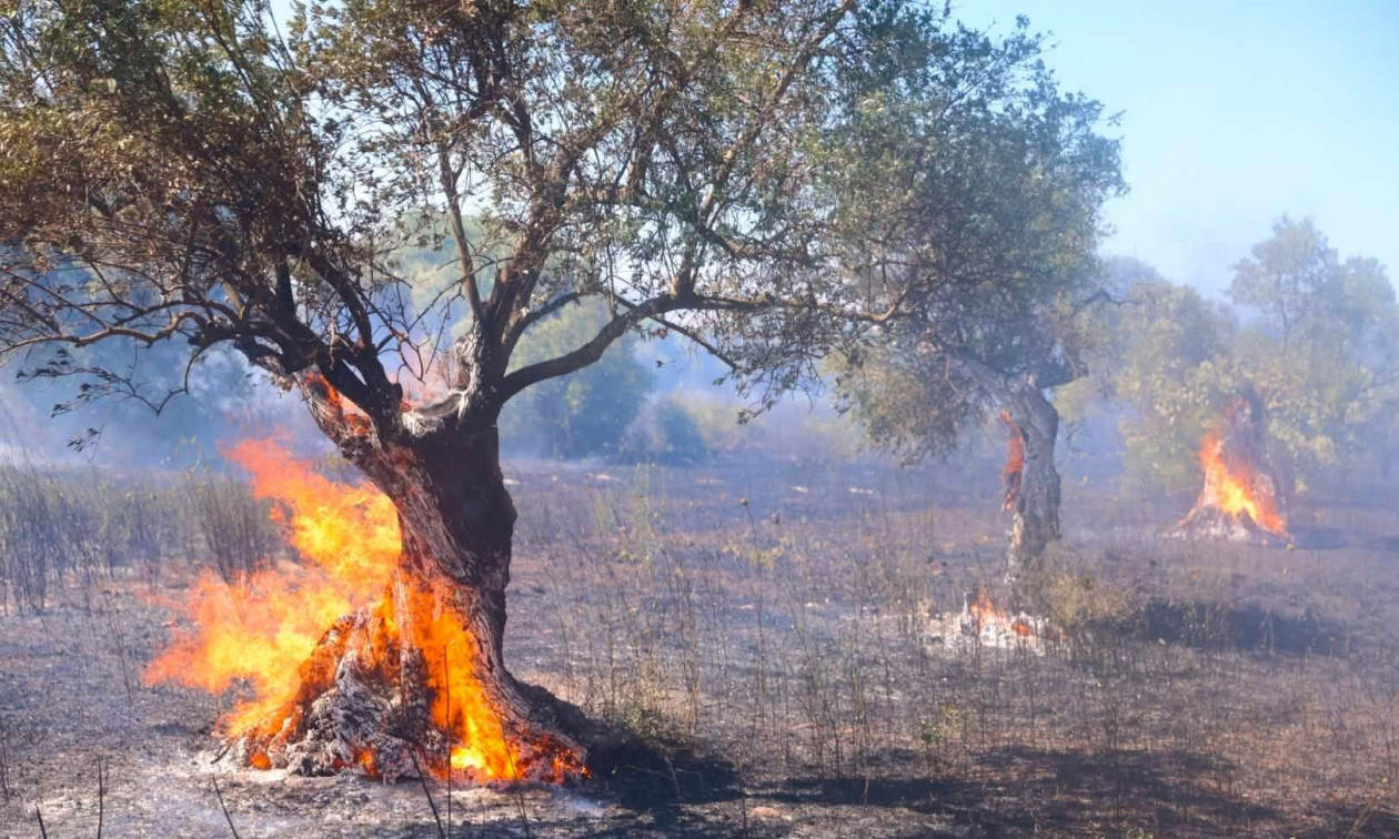 Φωτιά στον Άγιο Στέφανο