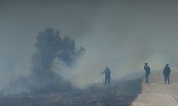Εύβοια: Καλύτερη εικόνα στον Λάτα: Συνεχίζουν να επιχειρούν ισχυρές πυροσβεστικές δυνάμεις