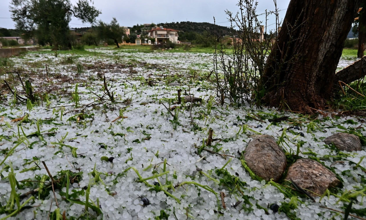 ΕΛΓΑ: Ξεκίνησαν οι καταγραφές ζημιών από τις χαλαζοπτώσεις - Τροπολογία για αποζημιώσεις στο 100%