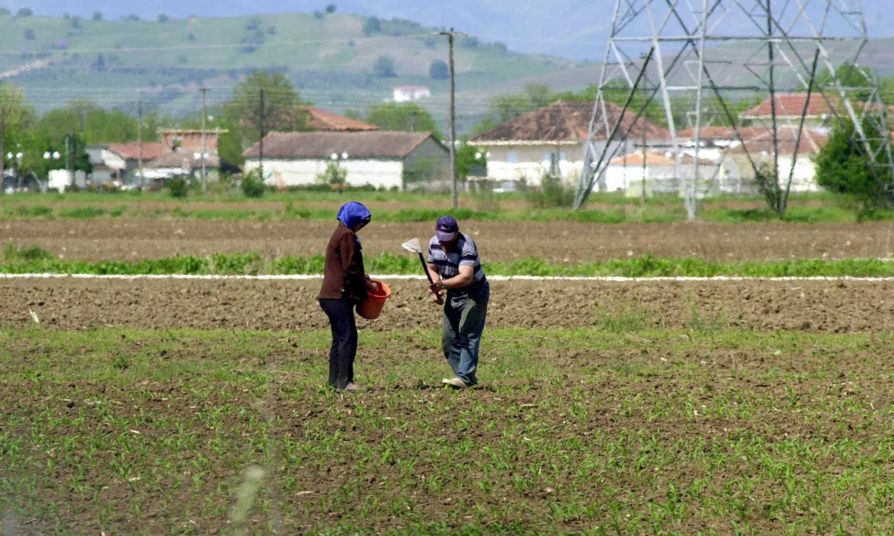 myAGRO: Νέα διαδικασία εξουσιοδοτήσεων μέσω myAADE, δείτε βήμα - βήμα τη διαδικασία