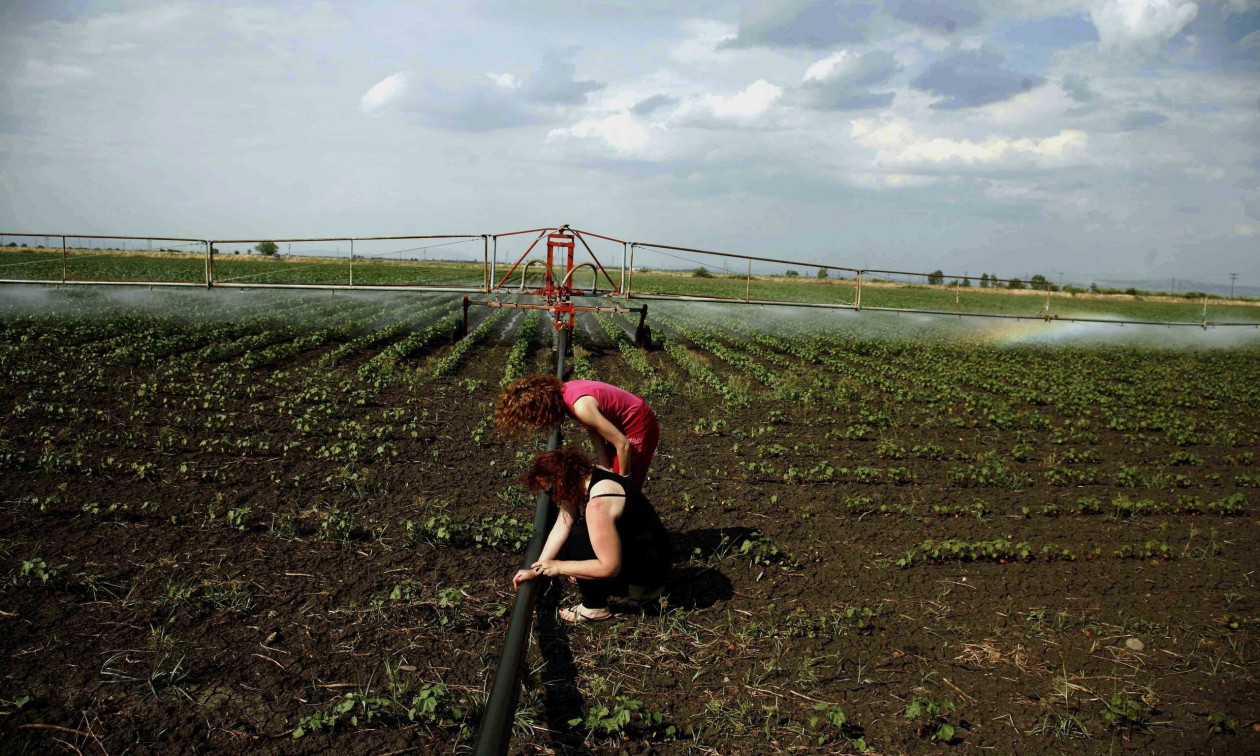 myAGRO: Ανοιξε η πλατφόρμα για την Ενιαία Αίτηση Ενίσχυσης του 2026