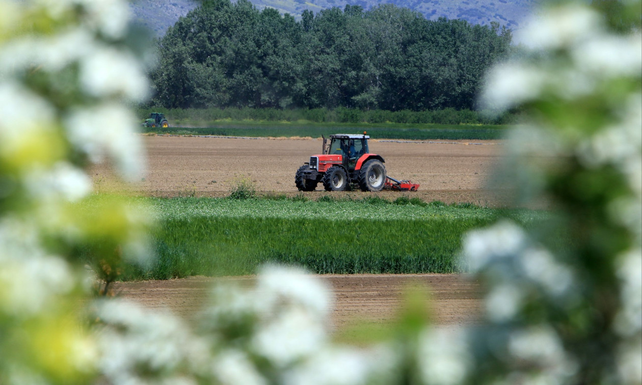 Αγρότες: Ενίσχυση έως 24,7 εκατ. ευρώ στους πληγέντες παραγωγούς - Ανοιξε η πλατφόρμα για αιτήσεις