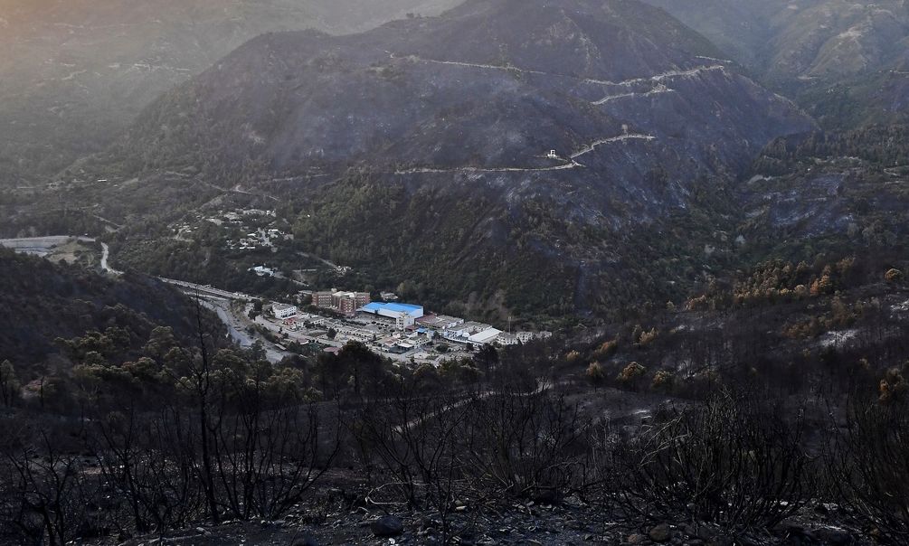 Αλγερία: Τουλάχιστον 12 νεκροί από δασικές πυρκαγιές - Ένα αγόρι 8 ετών ανάμεσά τους
