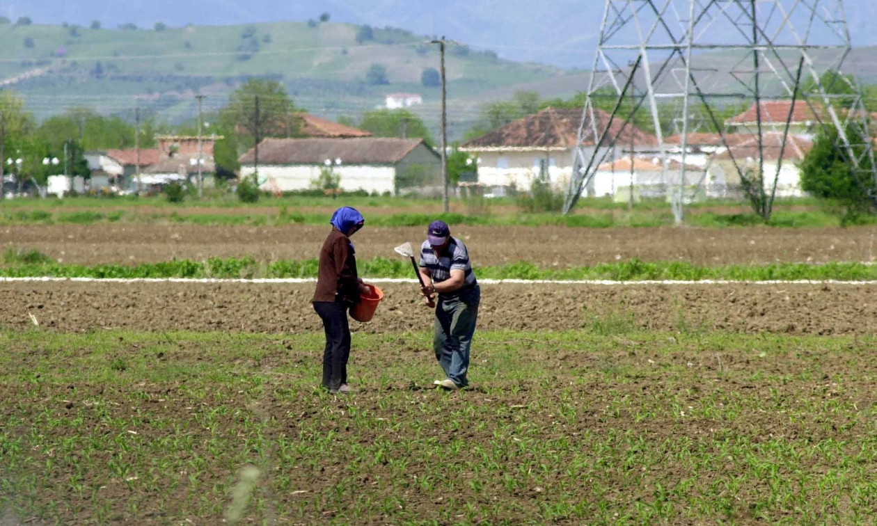 ΑΑΔΕ: Ξεκίνησε η υποβολή ενδικοφανών προσφυγών για αγροτικές ενισχύσεις του 2025