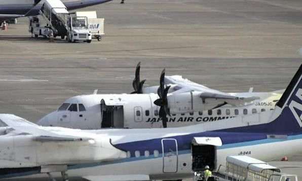 Ιαπωνία: Χάος σε πτήση - Φίδι έκανε... βόλτες στη καμπίνα