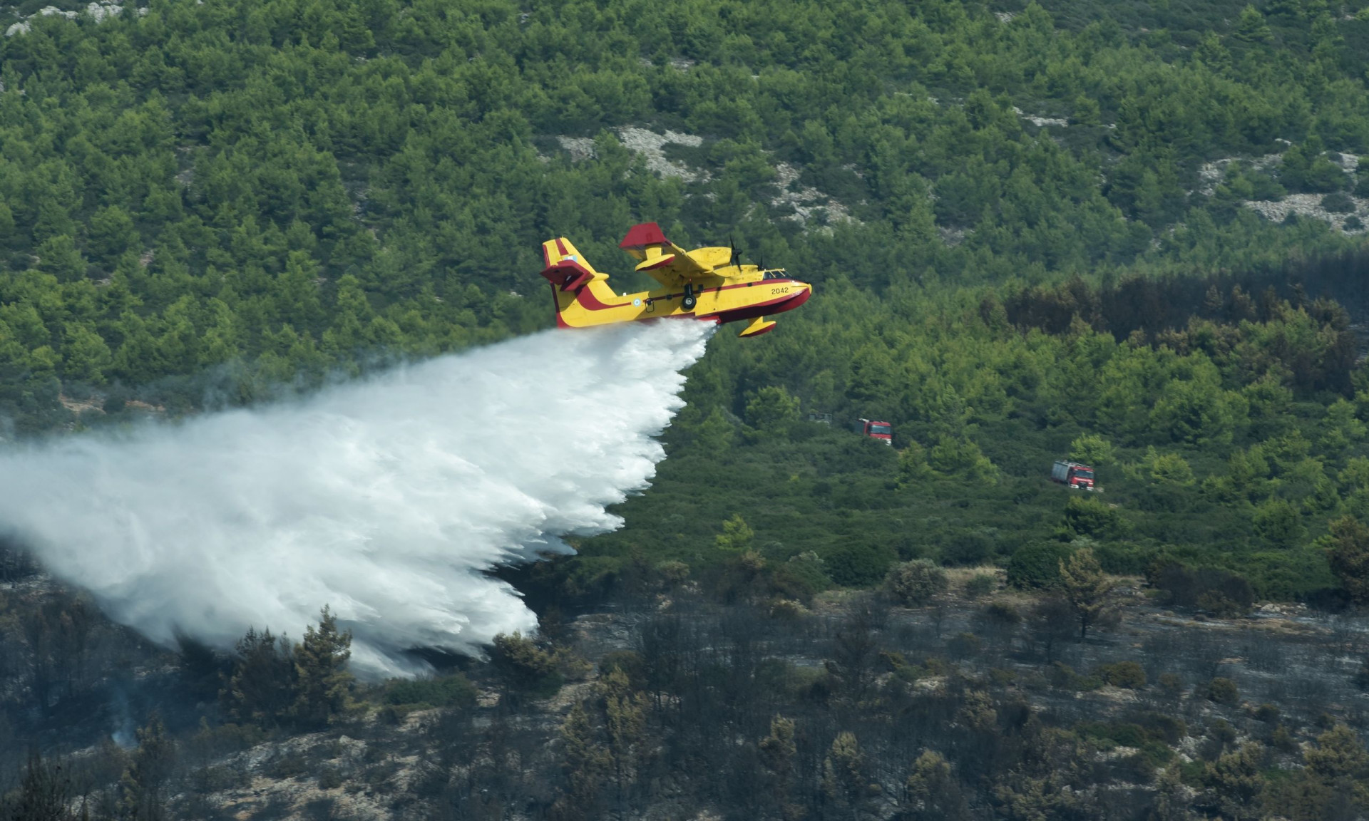 Συναγερμός για μεγάλη φωτιά στις Βολίμες στη Ζάκυνθο: 112 για εκκένωση της περιοχής Ελιές – Επιχειρούν 6 εναέρια μέσα