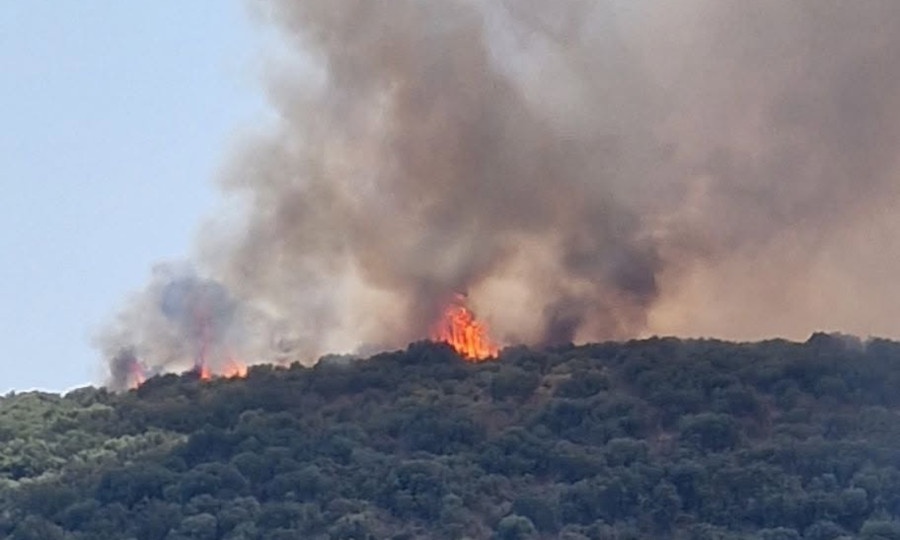Φωτιά στο Γύθειο: Συνελήφθησαν δύο άτομα για εργασίες με τροχό που προκάλεσε την πυρκαγιά στην οποία πέθανε ο 26χρονος πυροσβέστης
