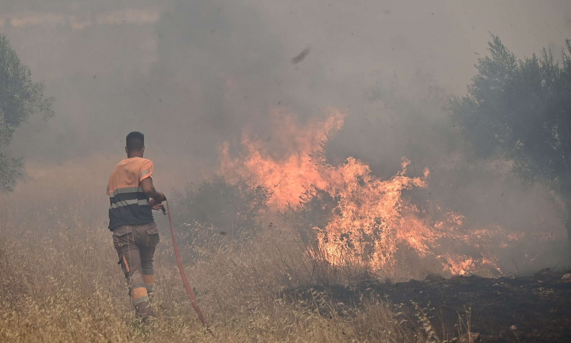Φωτιά στη Βοιωτία: 2 συλλήψεις για τη μεγάλη πυρκαγιά που κατέκαψε την περιοχή κι έφτασε στην Αττική - Ξεκίνησε από ανεμογεννήτριες, αναζητείται ο ιδιοκτήτης τους