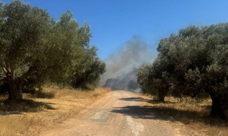 Φωτιά στα Σπάτα: Νεκρός βρέθηκε οδηγός μέσα στο αυτοκίνητό του – Αναφορές ότι η πυρκαγιά ξεκίνησε από το φλεγόμενο ΙΧ